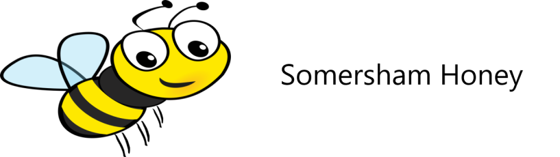 logo1